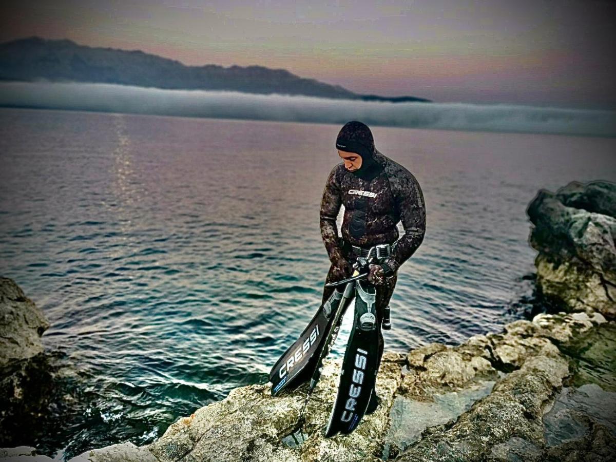 Amigo Daire Kotor